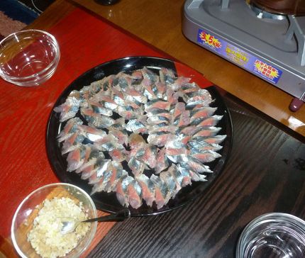 魚捌き特訓開始
