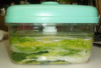 白菜漬けのシーズン到来