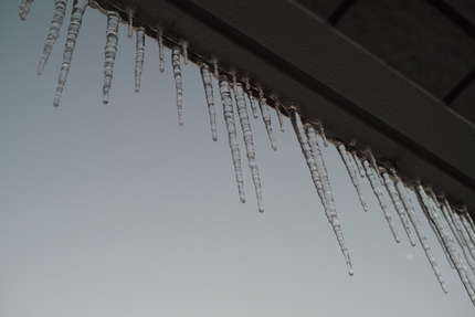雪の朝