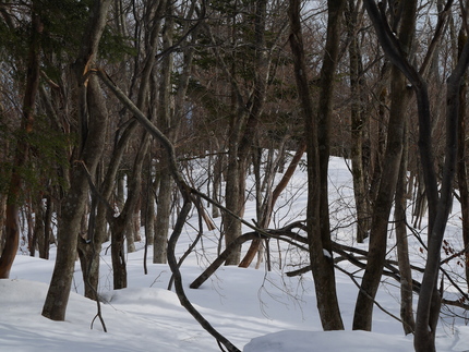瓢ヶ岳雪山情報