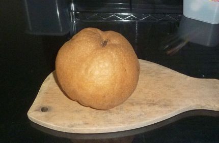 梨の長期保存の結果