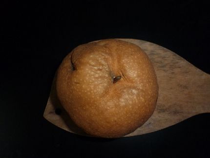 梨の長期保存の結果