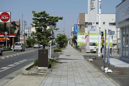 SIGMA　DPの解像力