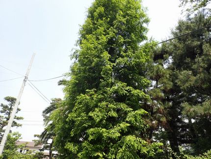 データ通信の確保