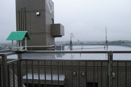 雨