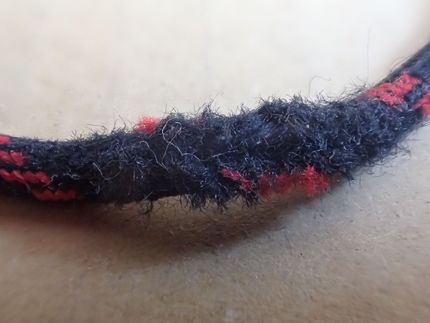 外皮が切れる前の状態、この状態...