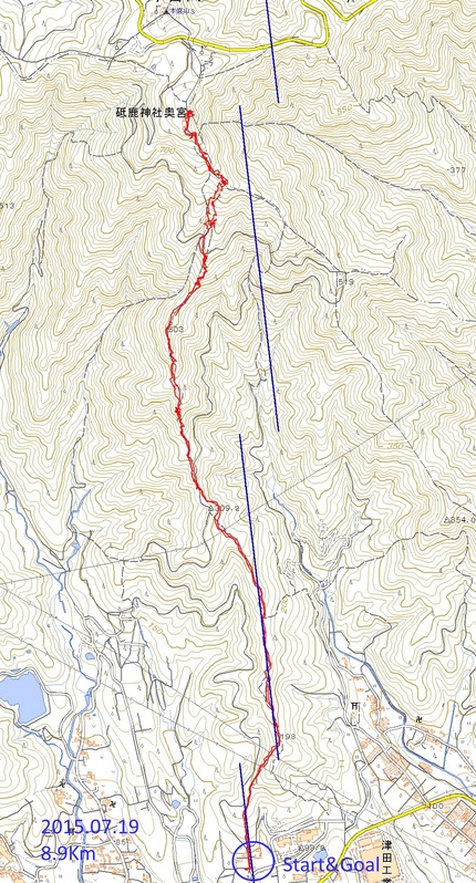 夏の低山でバテました