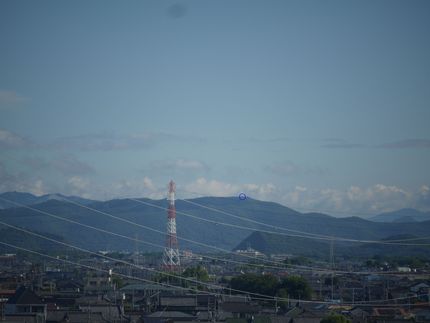 近場のお山