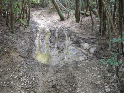 キノコ山敗退