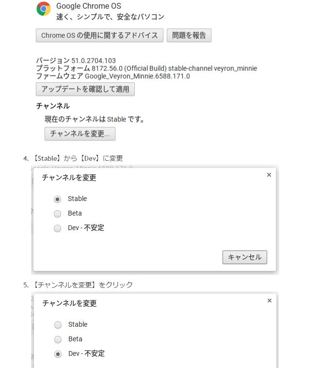 ChromeのHELP画面です...
