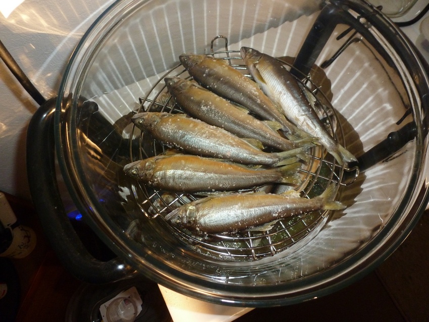 男子厨房に立つべし137（アユ...