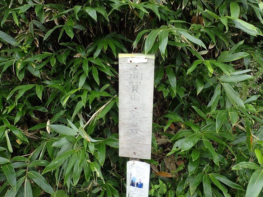 標識は見づらい...