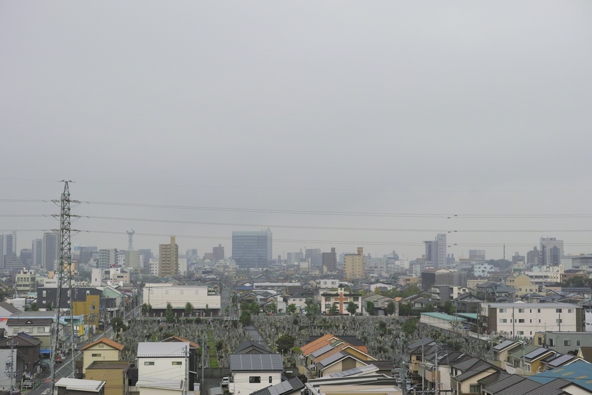 今朝は小雨