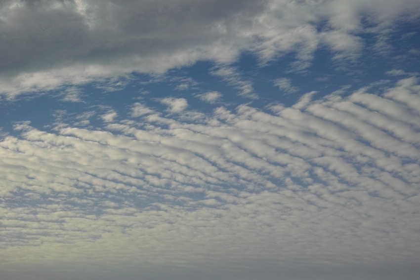 秋の空