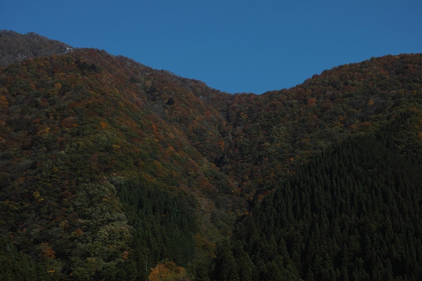 これから、岡山・・・・