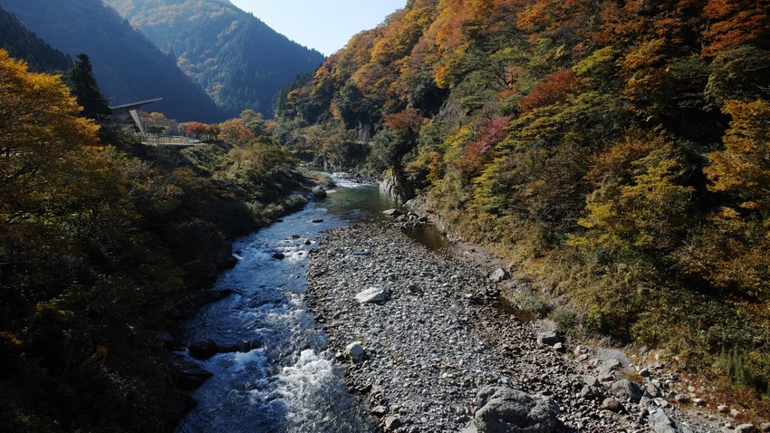 紅葉二題(2016.11.12...