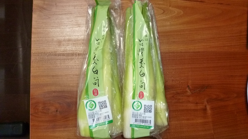 美人腿