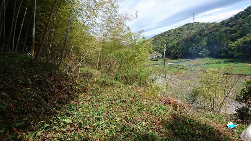 刈払い完了後の筍山