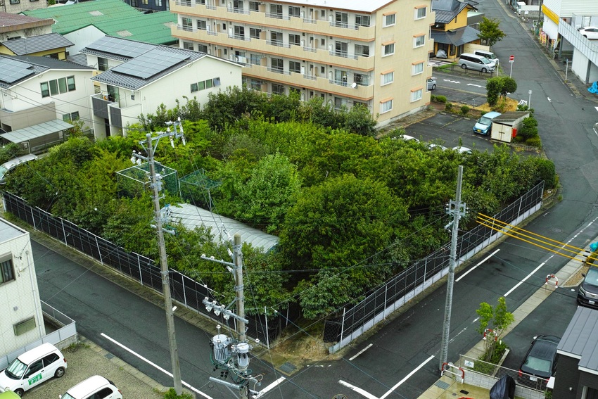 霧雨の朝（2018.08.15...