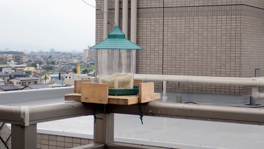 スズメの食卓を新調