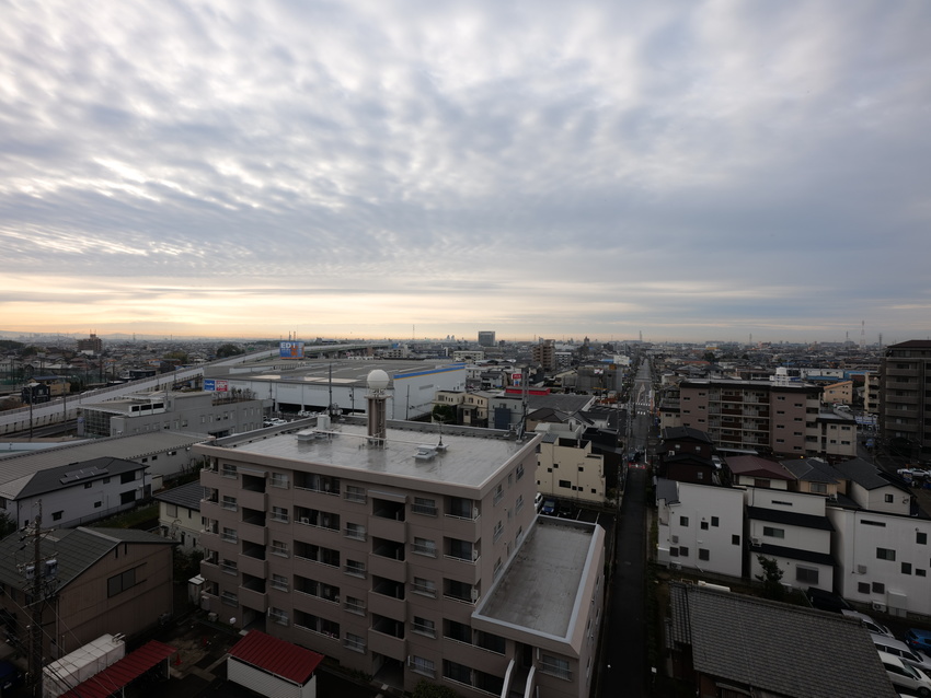 雨上がりの朝(2020.01....