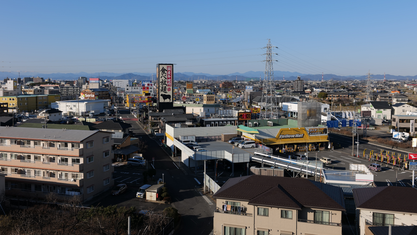 春の陽光を感じました