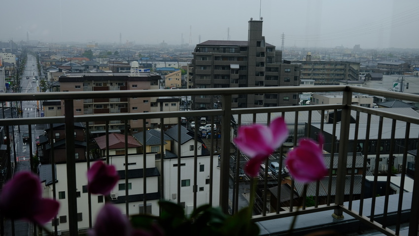 今日は雨(2021.04.17...