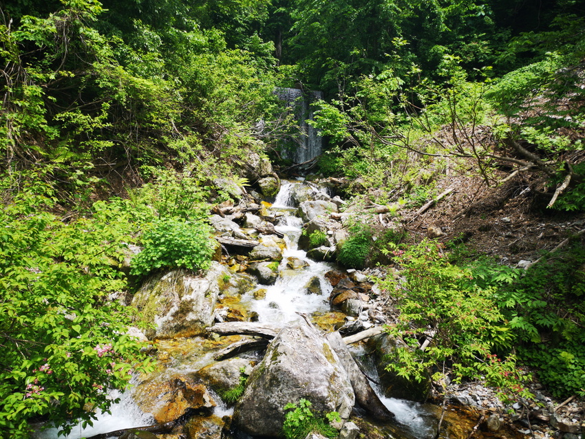 古い小説ですが泉　鏡花の「高野...