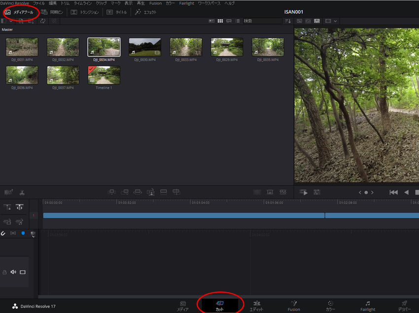 DaVinci Resolve...