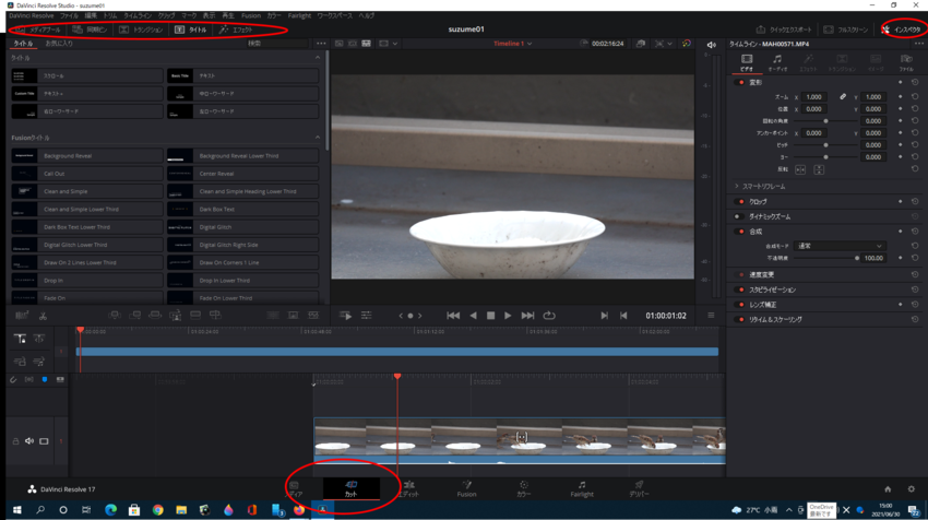 DaVinci Resolve...