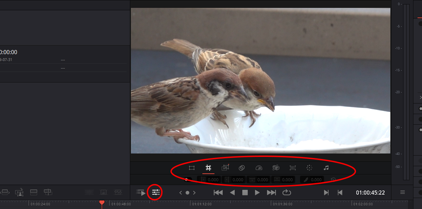 DaVinci Resolve...