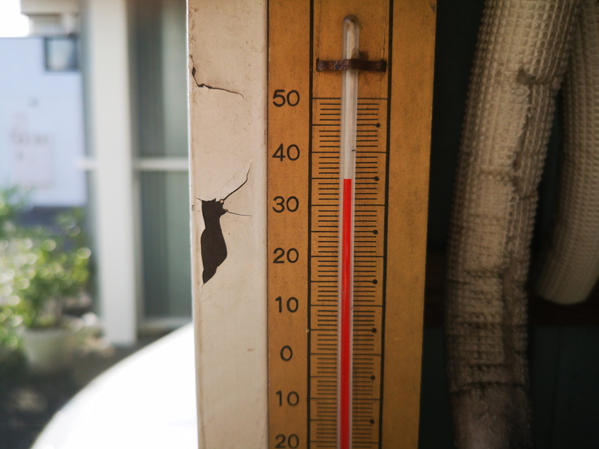 アチチ、気温は夏に逆戻り