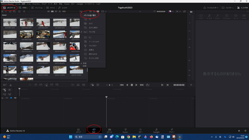 DaVinci Resolve...