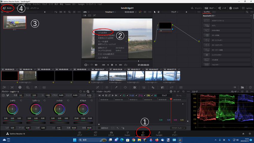 DaVinci Resolve...
