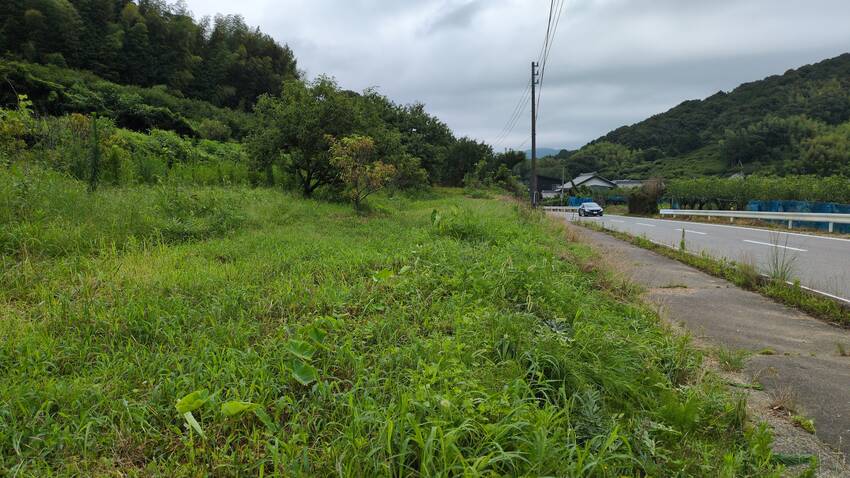 今日は草刈り