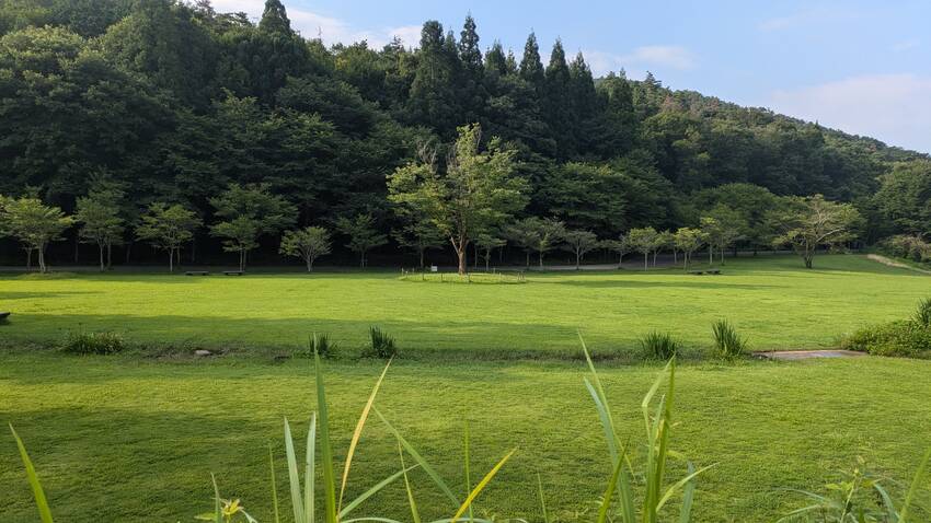 遺産の森