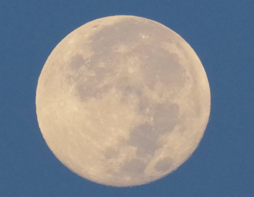 FullMoon（202409...