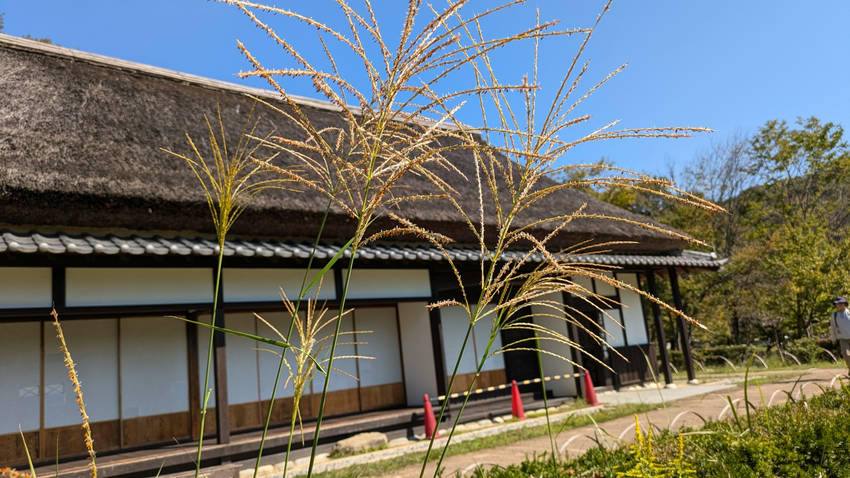 各務原遺産の森