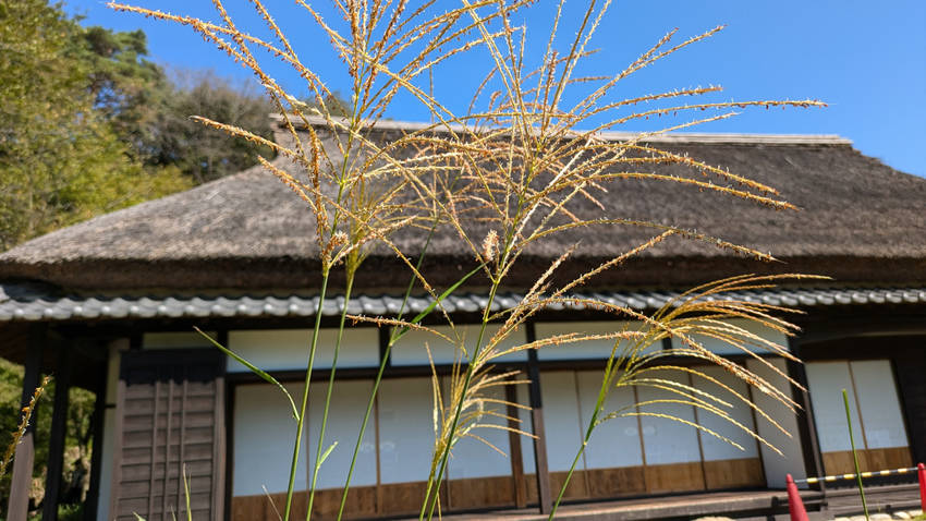 各務原遺産の森