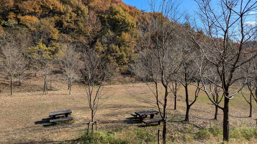 各務原遺産の森トレッキング（2...