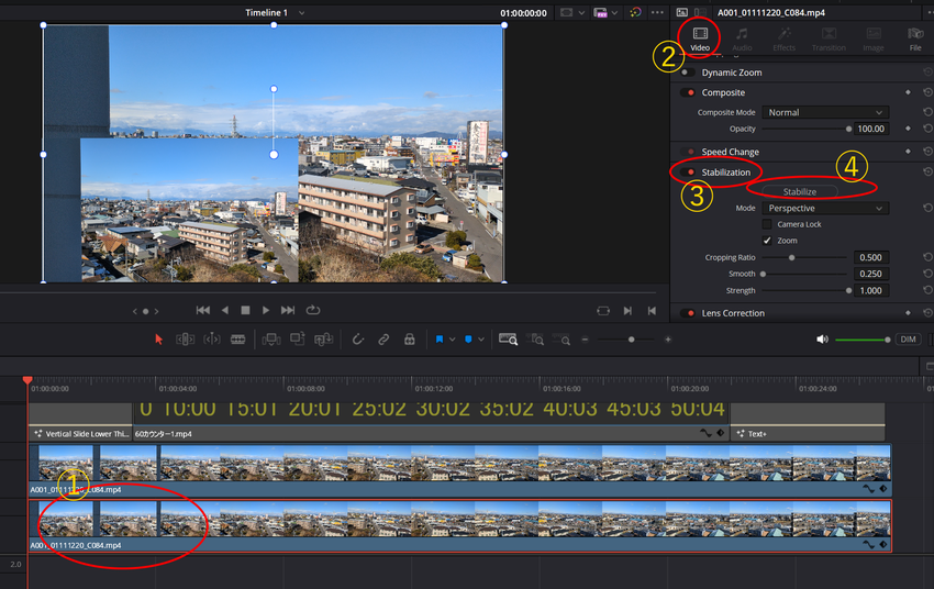 DaVinci Resolve...