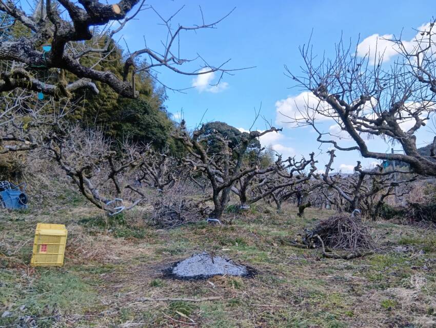 疲労困憊
