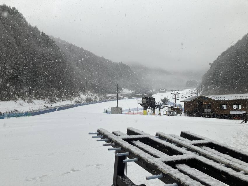 春の雪は大変