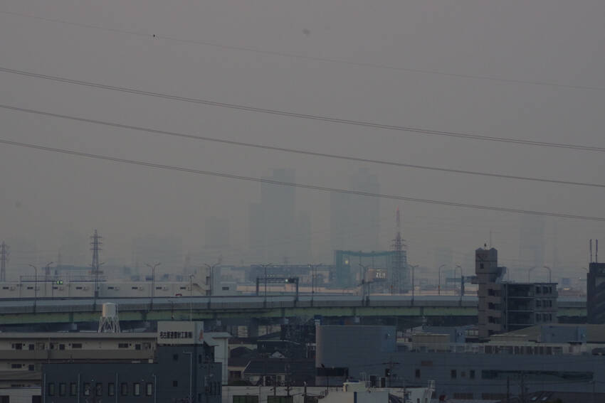 春霞(2025.03.27)