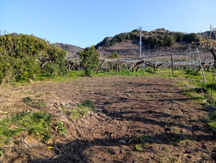 梨園の閉鎖完了(2025.04...