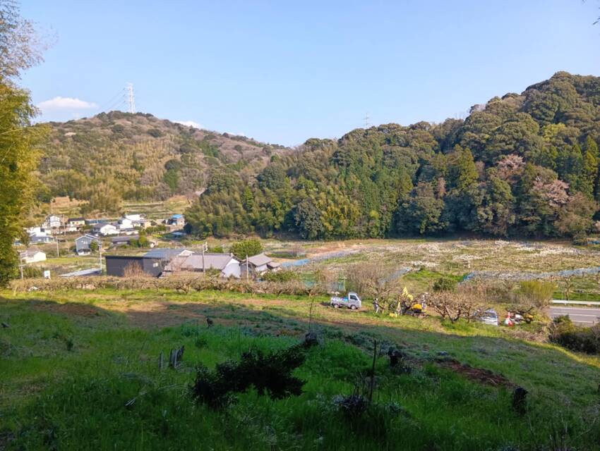 柿園閉鎖処理（重機での処理は終...