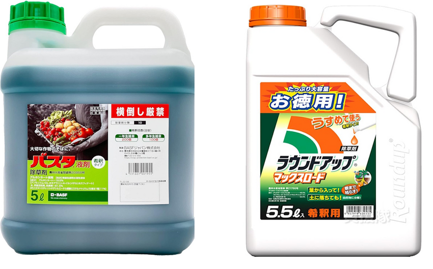 本格的に除草開始（2025.0...