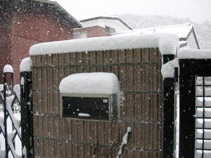 雪の日