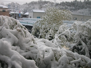 ちょっと重いよ〜