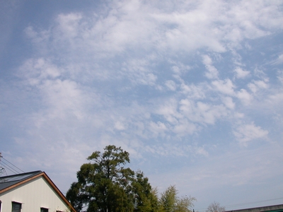 イベント空。。。今日は少し雲あ...